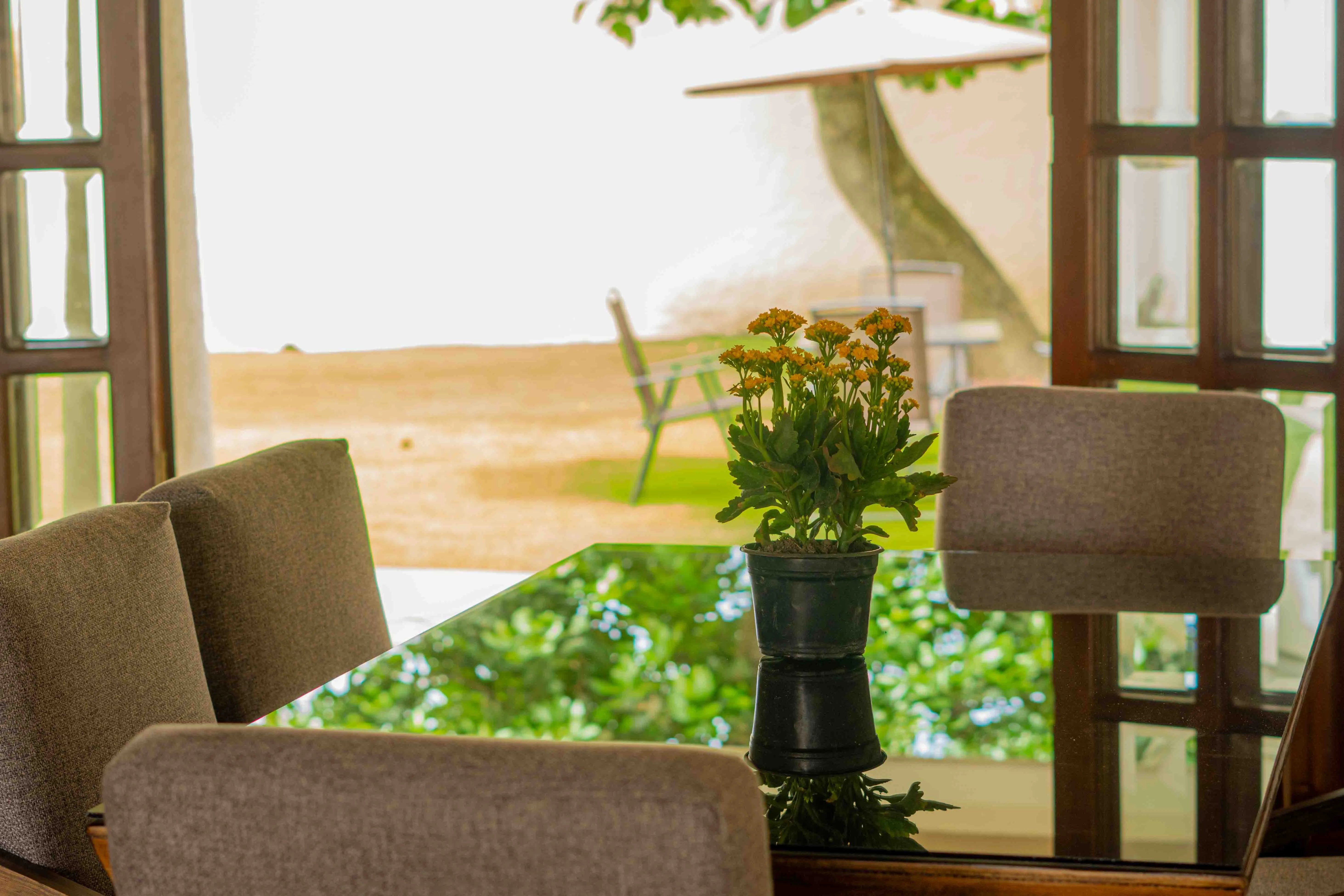 Vida y cuidado en Estancia Las Aves 4