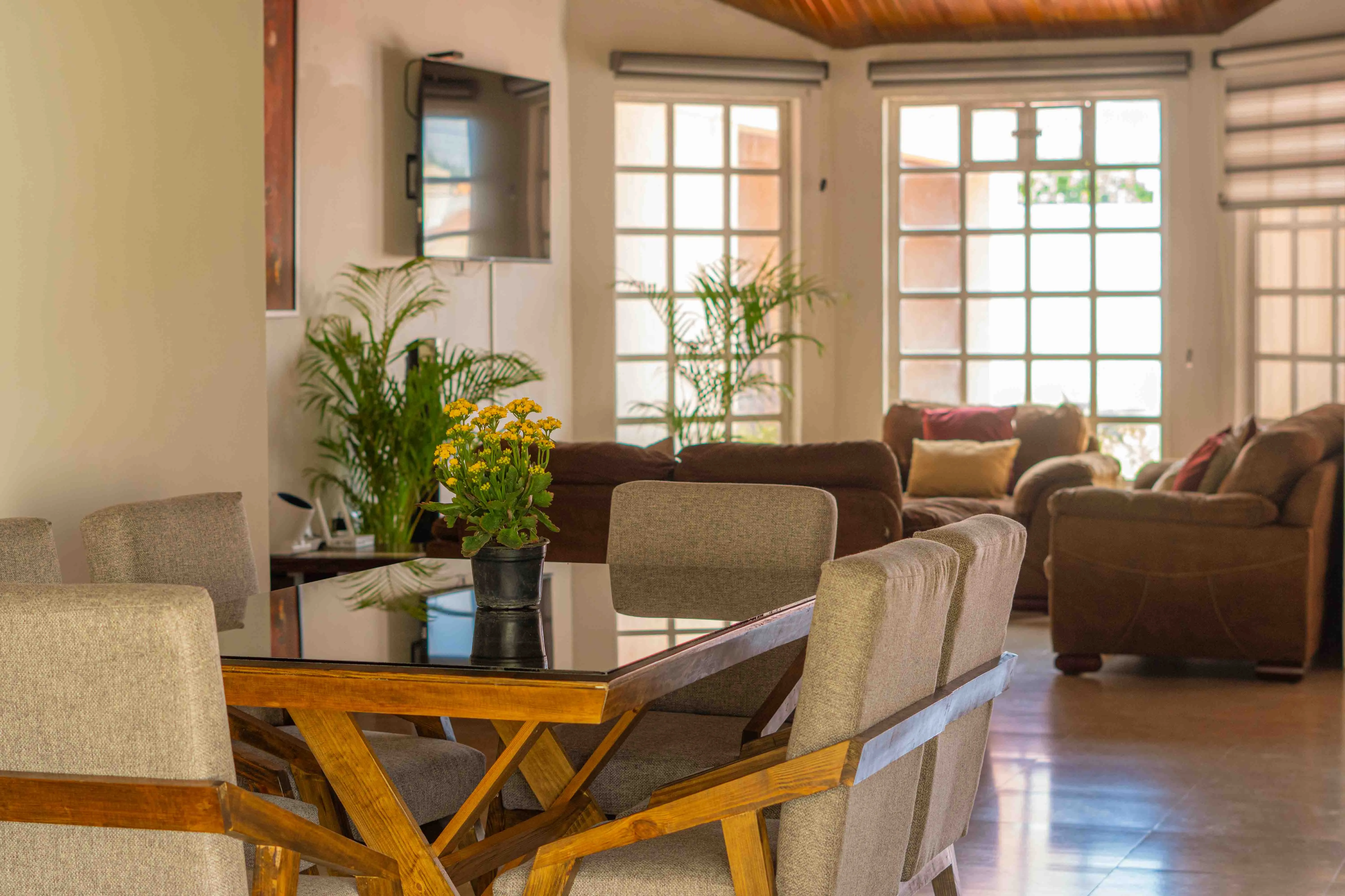 Vida y cuidado en Estancia Las Aves 5